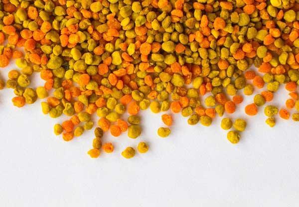 گرده گل چیست؟ 5 خاصیت گرده گل که باید بشناسید