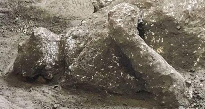 بقایای تقریبا سالم دو مرد در پمپئی کشف شد