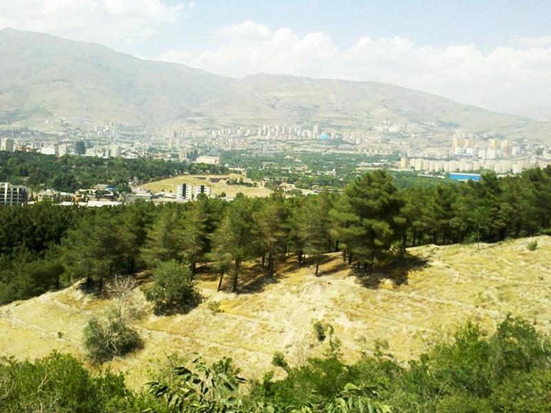 پارک جنگلی لویزان شیان: راهنمای کامل ریه سبز تهران، از جاذبه های گردشگری تا چالش های پیش رو