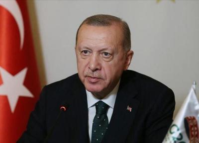 خبرنگاران انتقاد اردوغان از نظام مالی دنیا