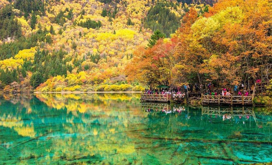 زلال ترین آب کره زمین را در کجا می توان دید؟ ، معرفی 5 منطقه برای عاشقان غواصی