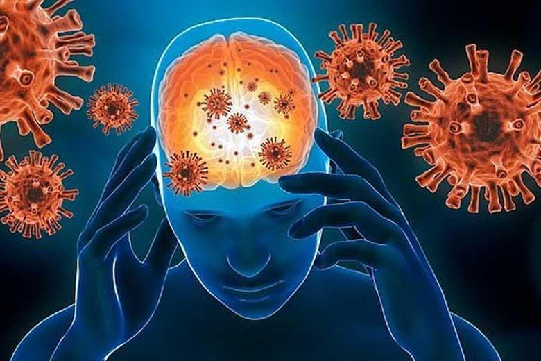 نیش کرونـا بر مغـز نیش کرونـا بر مغـز