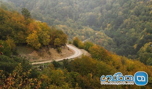 با تعدادی از زیباترین مسیرهای جنگل نوردی در ایران آشنا شوید با تعدادی از زیباترین مسیرهای جنگل نوردی در ایران آشنا شوید
