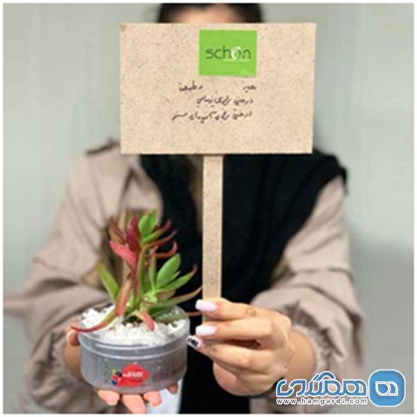 زیبایی از شون می روید -حرکتی از جنس طبیعت برای حفظ طبیعت