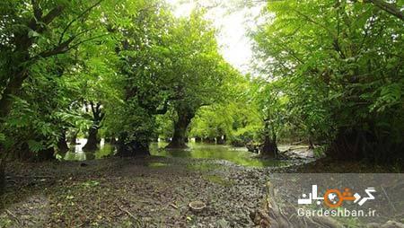 دریاچه متحرک آستارا؛ دریاچه ای عجیب که جا به جا می گردد!