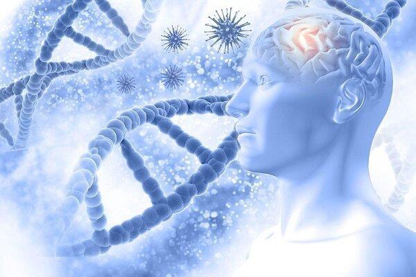 وجود پروتئین آلزایمر در مایع نخاعی نشانه اولیه آغاز بیماری است
