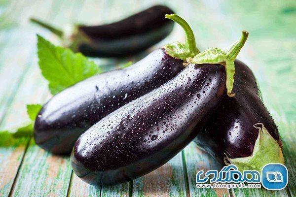خواص بی نظیر کلاهک بادمجان که نمی دانید