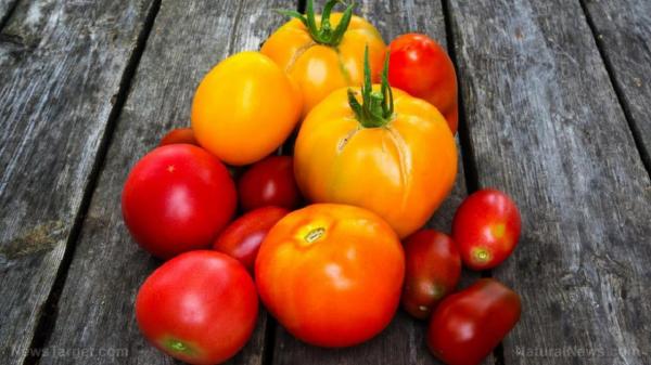 پیشگیری از سرطان با خوراکی های سرشار از آنتی اکسیدان