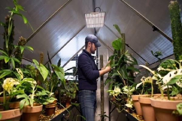 ابتکار یک مرد انگلیسی که او را ثروتمند کرد