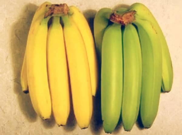 موزی که میخورید ، موزه یا پلانتین ؟