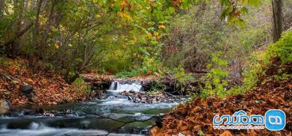 معرفی شماری از معروف ترین جاذبه های دیدنی طرقبه