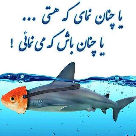عکس پروفایل صداقت با بهترین کیفیت