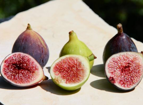 چرا باید انجیر را به رژیم غذایی خود اضافه کنیم؟