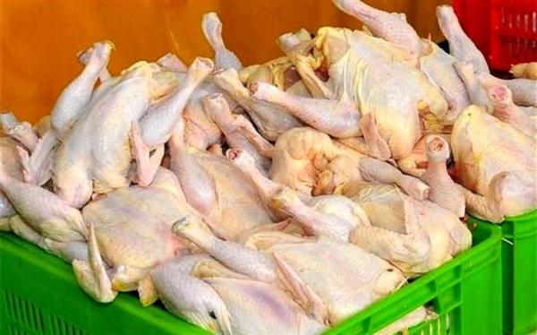 نرخ مرغ در بیشتر استان ها به کمتر از قیمت مصوب رسید