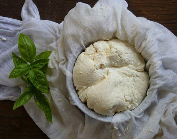 ماست چکیده و ماست معمولی؛ تفاوت ارزش غذایی و خواص