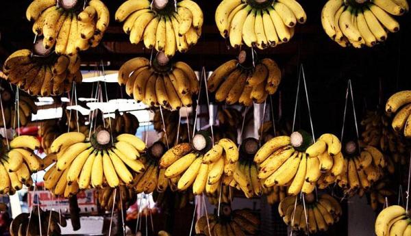 قیمت یک عدد موز، 5 هزار تومان!