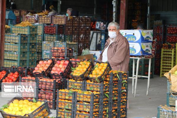 خبرنگاران 550 تن میوه برای شب عید در چهارمحال و بختیاری خریداری می گردد