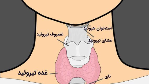 تفسیر آزمایش تیروئید؛ تیروئید شما کم کار است پا پرکار؟