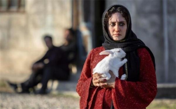 تی تی با بازی هوتن شکیبا و الناز شاکردوست به جشنواره آمد