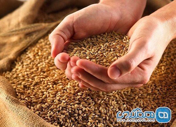 تاثیر عصاره گندم بر درمان ناباروری