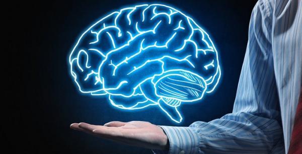 تحقیق در خصوص مغز انسان؛ حقایقی درباره عملکرد مغز