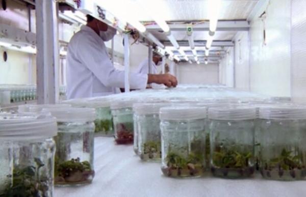 زیست فناوری به خدمات آزمایشگاهی رسید