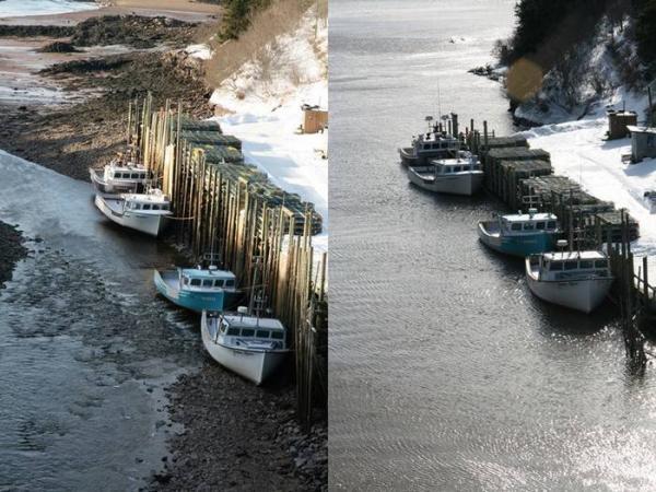 علت و منشا جزر و مد چیست؟