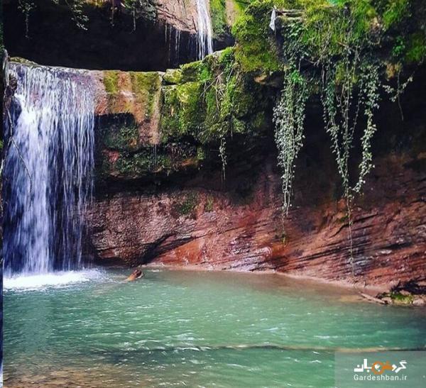 جنگل لفور؛ از بکرترین جنگل های مازندران در سوادکوه، عکس