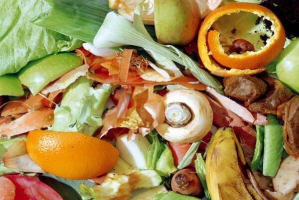 تبدیل ضایعات میوه به محصولات آرایشی بهداشتی توسط محققان کشور