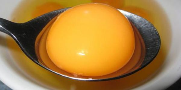 خواص و مضرات زرده تخم مرغ چیست؟ خواص و مضرات زرده تخم مرغ چیست؟