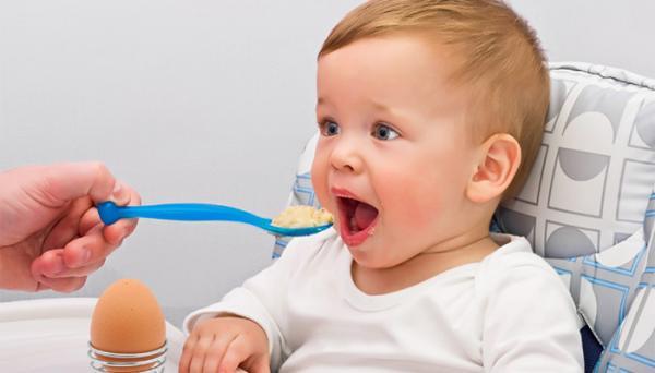 دادن تخم مرغ به نوزاد؛ فواید، نکات و چند دستور غذایی ساده