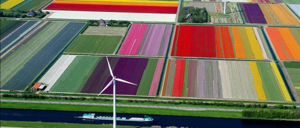 بهترین مکان های جهان برای تماشای گل