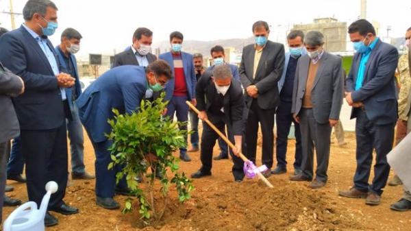 کاشت 85 هزار اصله نهال در کهگیلویه و بویراحمد