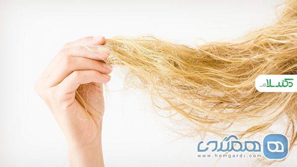 دلایل خشکی مو و راه های درمان