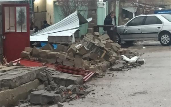 دنا روی خط ریزلرزه ها