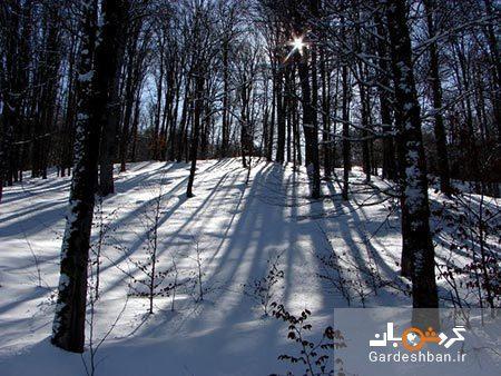 روستای ییلاقی درازنو؛ دهکده ای کوهستانی در ارتفاعات البرز