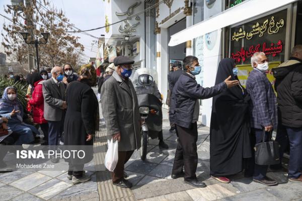 مسوولان برای کاهش صف های مرغ در خراسان رضوی چه کرده اند؟