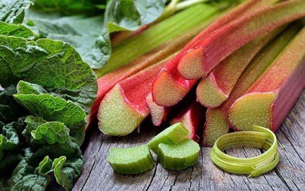 ریواس، سوغاتی فصل بهار برای کاهش کلسترول و فشار خون