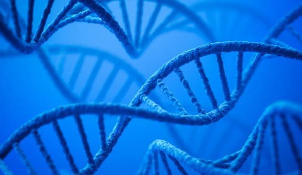 نخستین برداشت دی ان ای از هوا