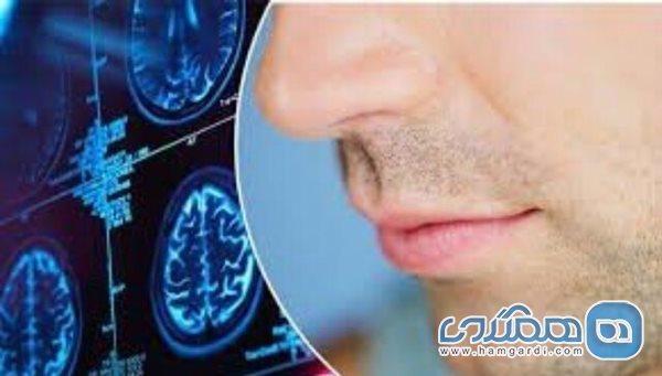 چگونه حس بویایی را بعد از بیماری های ویروسی برگردانیم؟