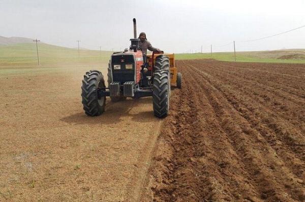 کشت بهاره در مزارع کردستان شروع شد