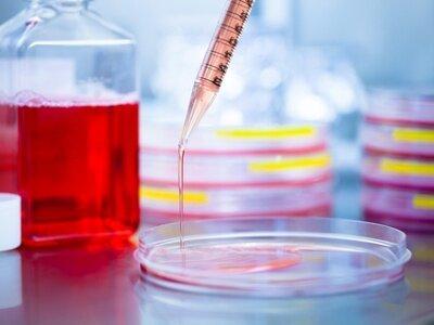 استفاده از نوعی باکتری پروبیوتیک برای مهار سلول های سرطانی