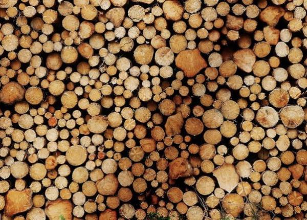 سنتز شیمیایی پایدار با نانوذرات پلاتین