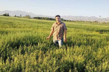 با روغن کاملینا سالم زندگی کن با روغن کاملینا سالم زندگی کن