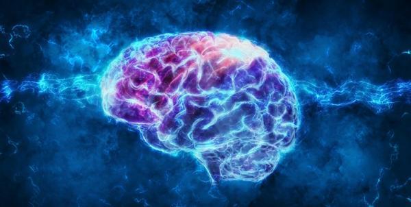 بررسی هم آوایی در شبکه نورونی مغز توسط محققان دانشگاه امیرکبیر