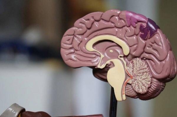 مسابقات دانش آموزی دانش مغز برگزار می گردد