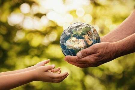 هر 3 ثانیه جنگل ها به اندازه یک زمین فوتبال تخریب می شوند