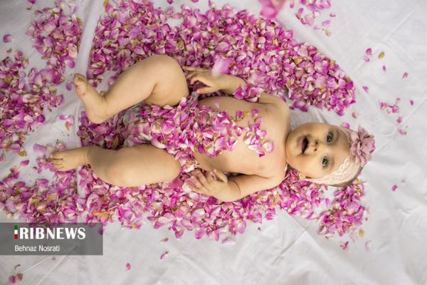 (تصاویر) آیین ملی و مذهبی گل غلتان