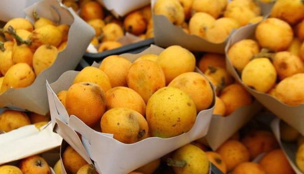 طبع ازگیل سرد است یا گرم؟ (معرفی مصلحات و خواص ازگیل)