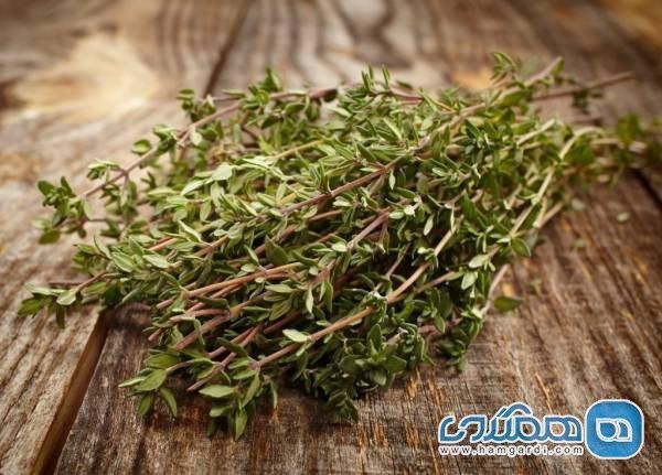 3 خاصیت گیاه دارویی آویشن